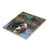 B26 ノーザンシャベラー・ドレイク タイル (側面)