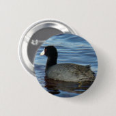 B27公有地のCoot 缶バッジ (正面&裏面)