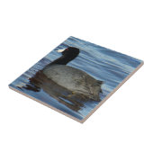 B27共通コット タイル (側面)