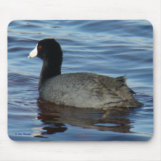 B27共通コット マウスパッド (正面)