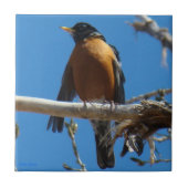 B28ロビン タイル (正面)