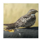 B29コモンナイトウク タイル (正面)