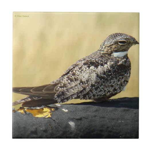 B29コモンナイトウク タイル (正面)