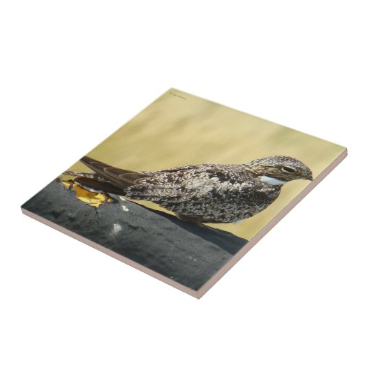 B29コモンナイトウク タイル (側面)