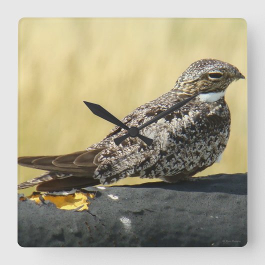 B29一般的なナイトウォーク スクエア壁時計 (正面)