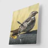 B29一般的なナイトウォーク スクエア壁時計 (傾斜)