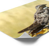 B29一般的なナイトウォーク ポスター (角)