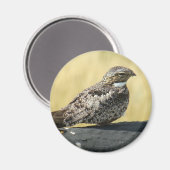 B29一般的なナイトウォーク マグネット (正面/裏面)