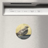 B29一般的なナイトウォーク マグネット (インサイチュ (食洗機))