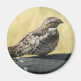 B29一般的なナイトウォーク マグネット