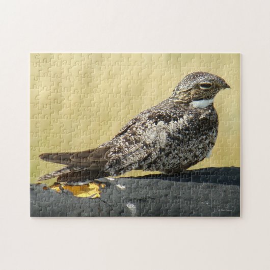 B29 コモン・ナイトホーク ジグソーパズル (横)