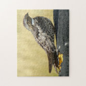 B29 コモン・ナイトホーク ジグソーパズル (縦)