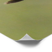 B2 コモン・ナイトホーク ポスター (角)