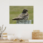 B2 コモン・ナイトホーク ポスター (キッチン)