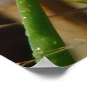 B3マーシュウォレン ポスター (角)