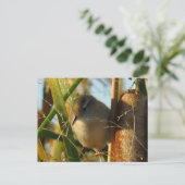 B3マーシュウォレン ポストカード (スタンド正面)