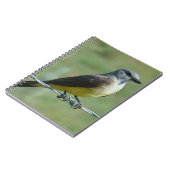 B31ウエスタンキングバード ノートブック (左側)