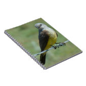 B32ウエスタンキングバード ノートブック (右側)