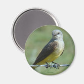 B32 Western Kingbird マグネット (正面/裏面)