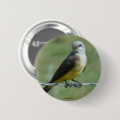 B32 Western Kingbird 缶バッジ (正面&裏面)