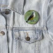 B32 Western Kingbird 缶バッジ (インサイチュ)