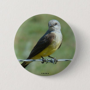 B32 Western Kingbird 缶バッジ