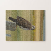 B33 スウェインソンハクチョウ ジグソーパズル (横)