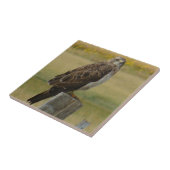 B33 スウェインソンハーク タイル (側面)