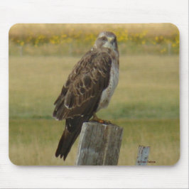 B33 スウェインソンハーク マウスパッド