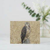 B36鉄ホーク ポストカード (スタンド正面)