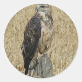 B36 ワシミミズクが小麦畑に ラウンドシール