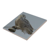 B38スノーフクロウ タイル (側面)