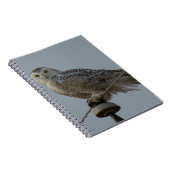 B38スノーフクロウ ノートブック (右側)