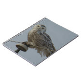 B38スノーフクロウ ノートブック (左側)