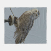 B38 雪の白いフクロウの碍子 フリースブランケット (正面(横))