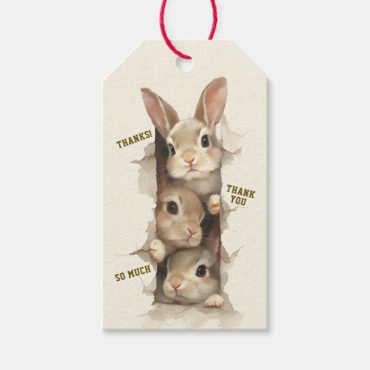 B3 Three Bunnies 3D Illusion  ギフトタグ (正面)
