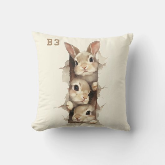 B3 Three Bunnies 3D Illusion クッション (正面)