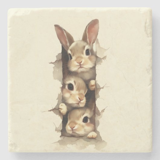 B3 Three Bunnies 3D Illusion ストーンコースター (正面)