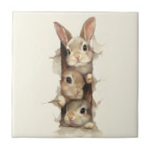 B3 Three Bunnies 3D Illusion タイル (正面)