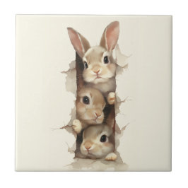 B3 Three Bunnies 3D Illusion  タイル