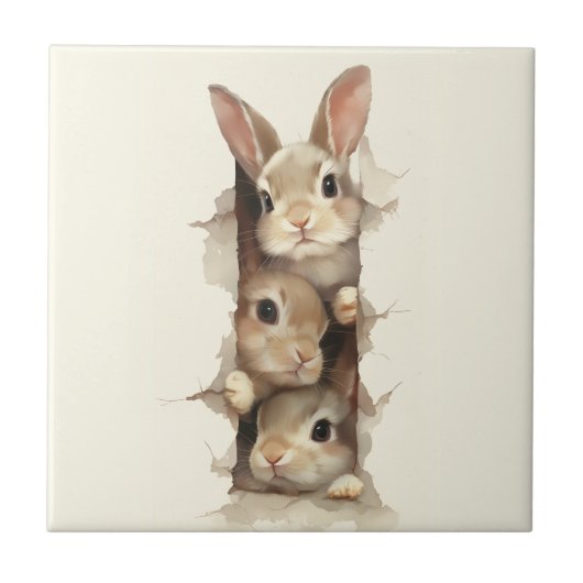 B3 Three Bunnies 3D Illusion タイル (正面)