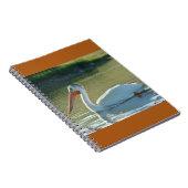 B4ホワイトペリカン ノートブック (右側)