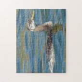 B40青少年の赤い首のグレ ジグソーパズル (縦)