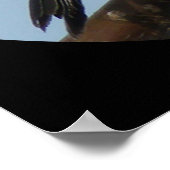 B43 Black Capped Chickadee ポスター (角)