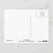 B44 アメリカオニヒラトリ ポストカード (裏面)