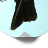 B45ウエスタンキングバード ポスター (角)