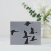 B46カナディアン・ゲーゼ飛行中 ポストカード (スタンド正面)