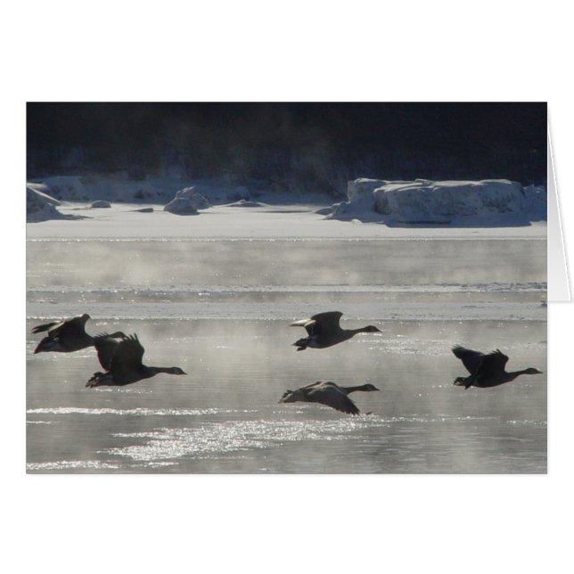 B47カナディアンゲーゼ凍ってい川 (正面横)