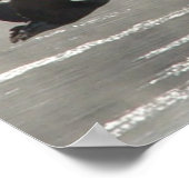 B47 カナダガン凍った川の上を飛ぶ ポスター (角)