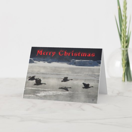 B47 Canada Geese Over Frozen River Christmas Card サンキューカード (正面)